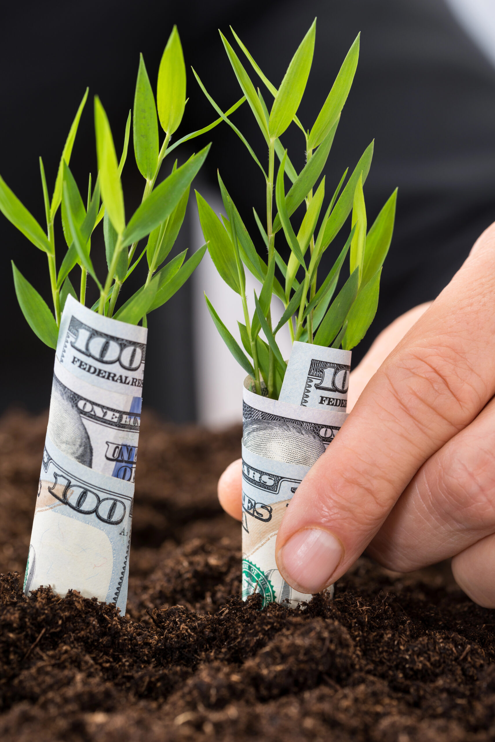 Two tiny plants growing out of the soil, wrapped in dollar bills, symbolizing how to build wealth without sacrificing your happiness.