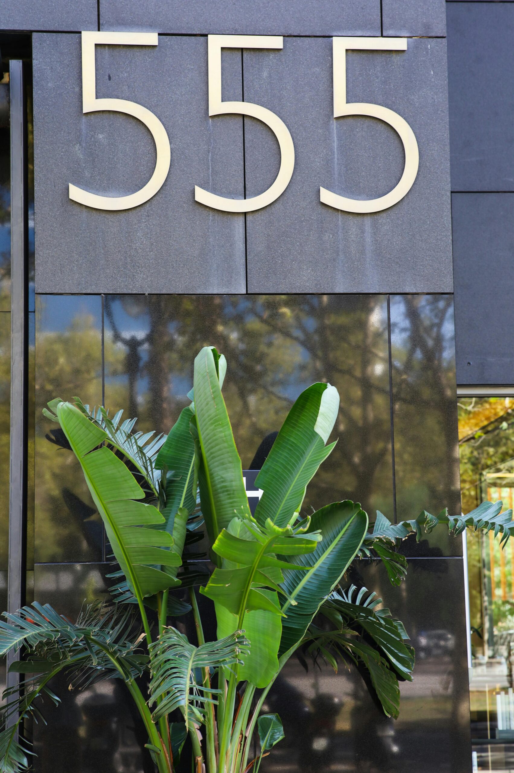 A large 555 displayed on a building, symbolizing angel numbers and major life changes, transformation, and new opportunities.